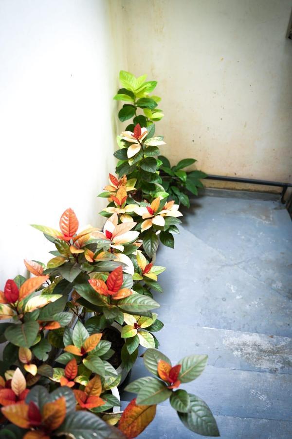 The Bbc Cheliyan Villa Kandy Exterior foto